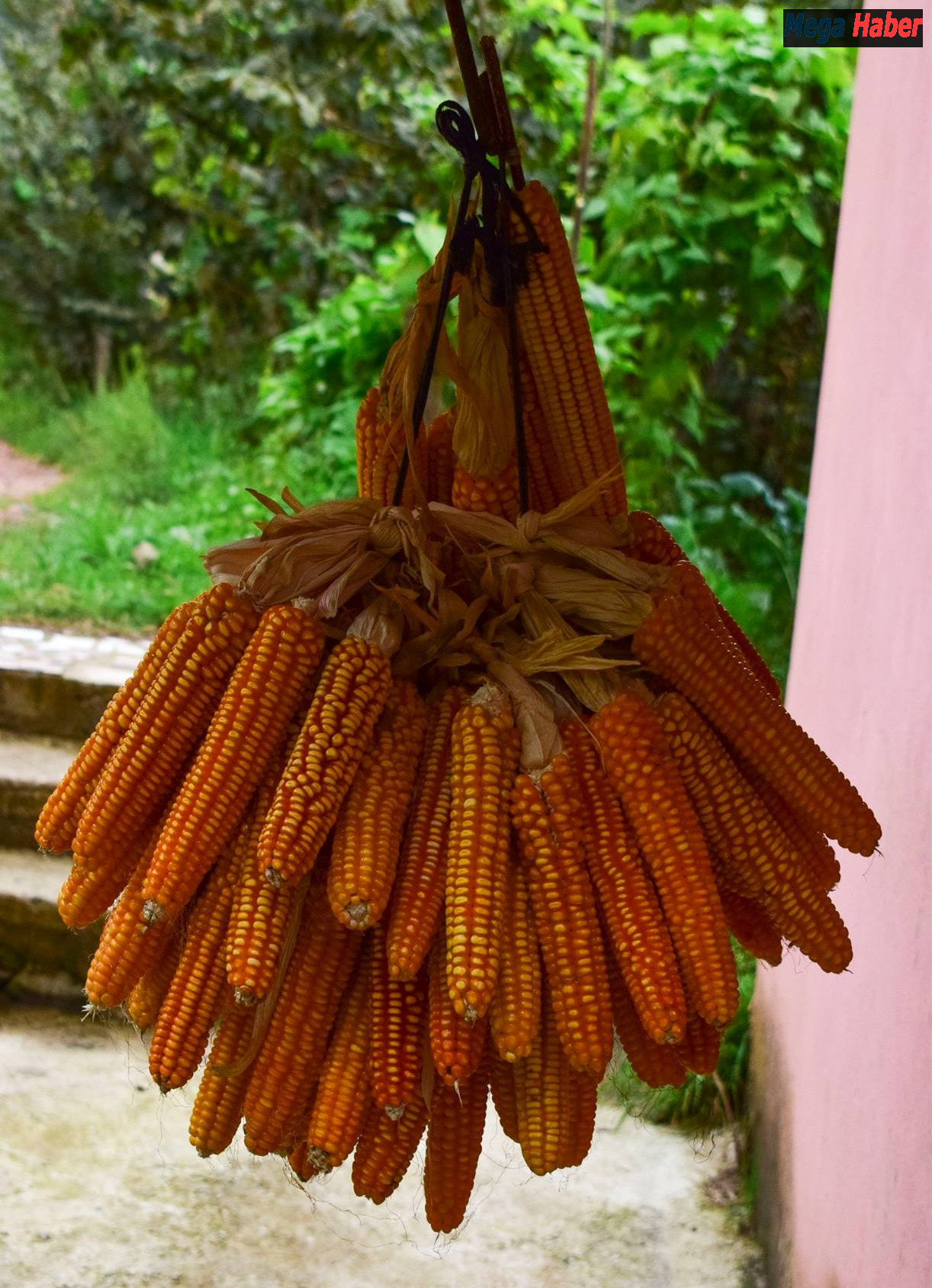 Koliva - Oy Oy Sevduğum [ Official Music Video © 2016 Kalan Müzik ]