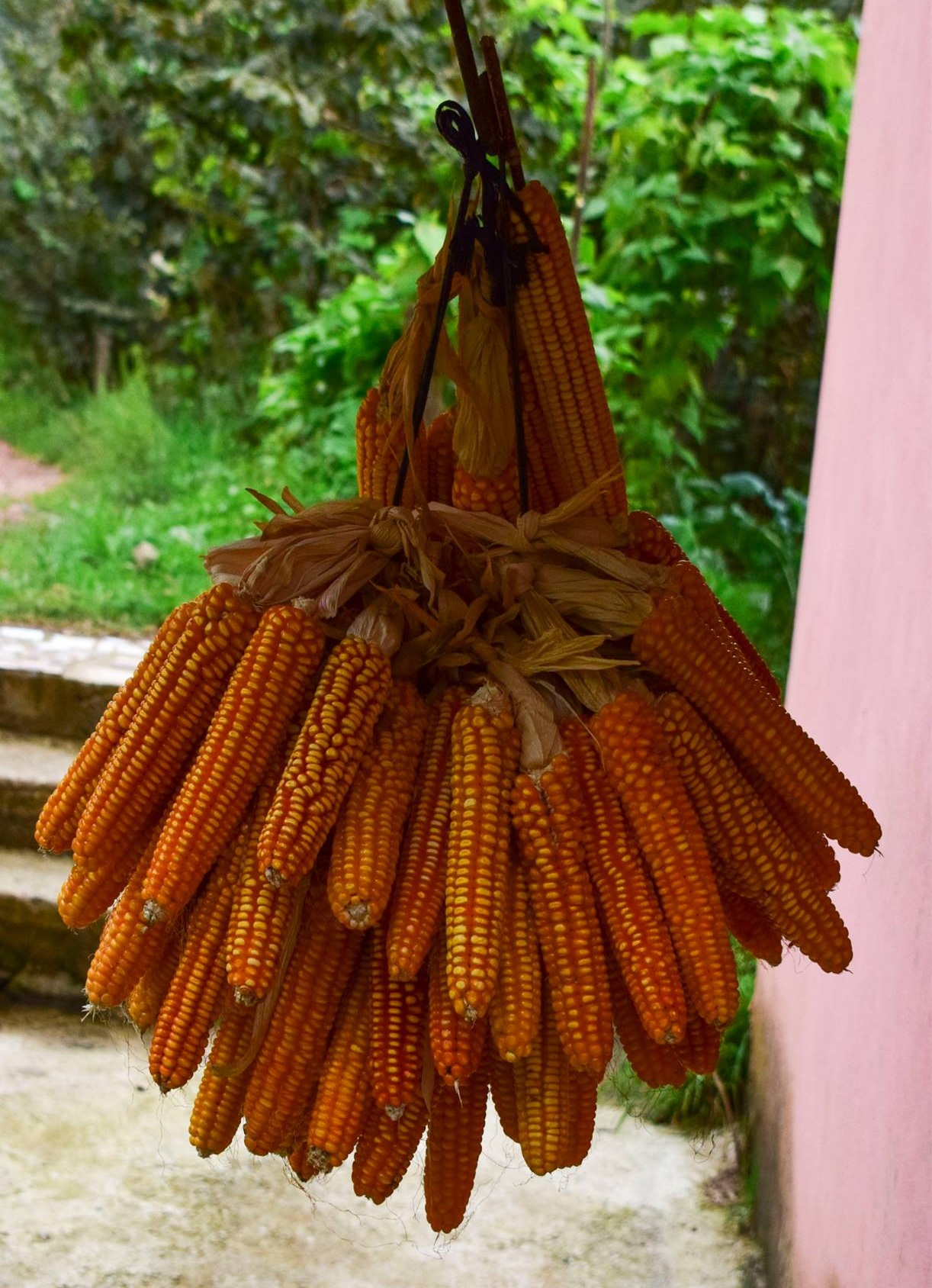 Koliva - Oy Oy Sevduğum [ Official Music Video © 2016 Kalan Müzik ]